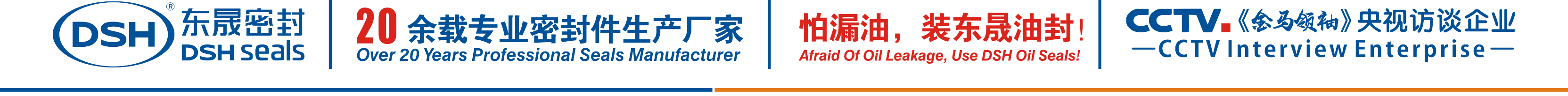怕漏油，裝東晟油封！