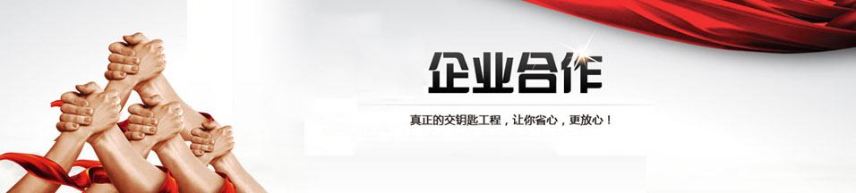 耐高溫、耐油PU密封圈 (大型輸送帶用密封件)