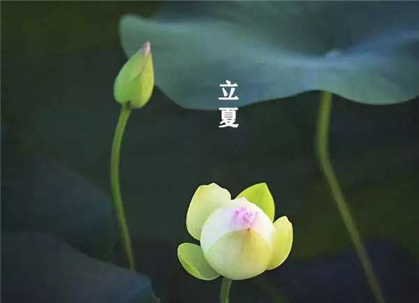 立夏已至，萬(wàn)物向陽(yáng)；