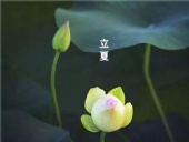 立夏已至，萬物向陽；